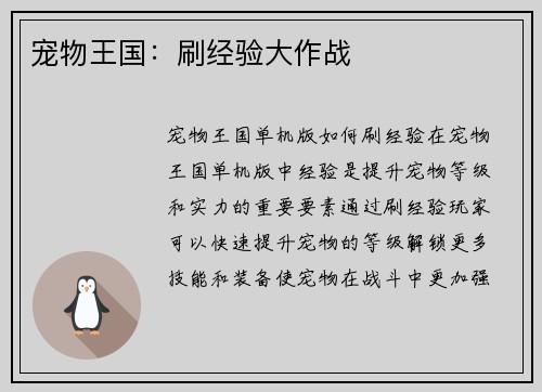 宠物王国：刷经验大作战