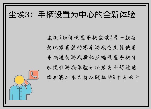 尘埃3：手柄设置为中心的全新体验